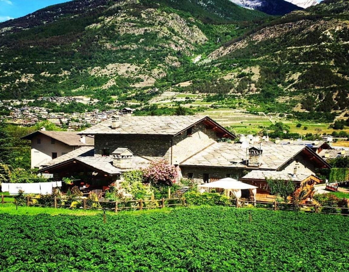 Le Parfum Du Sel Otel Jovencan Dış mekan fotoğraf
